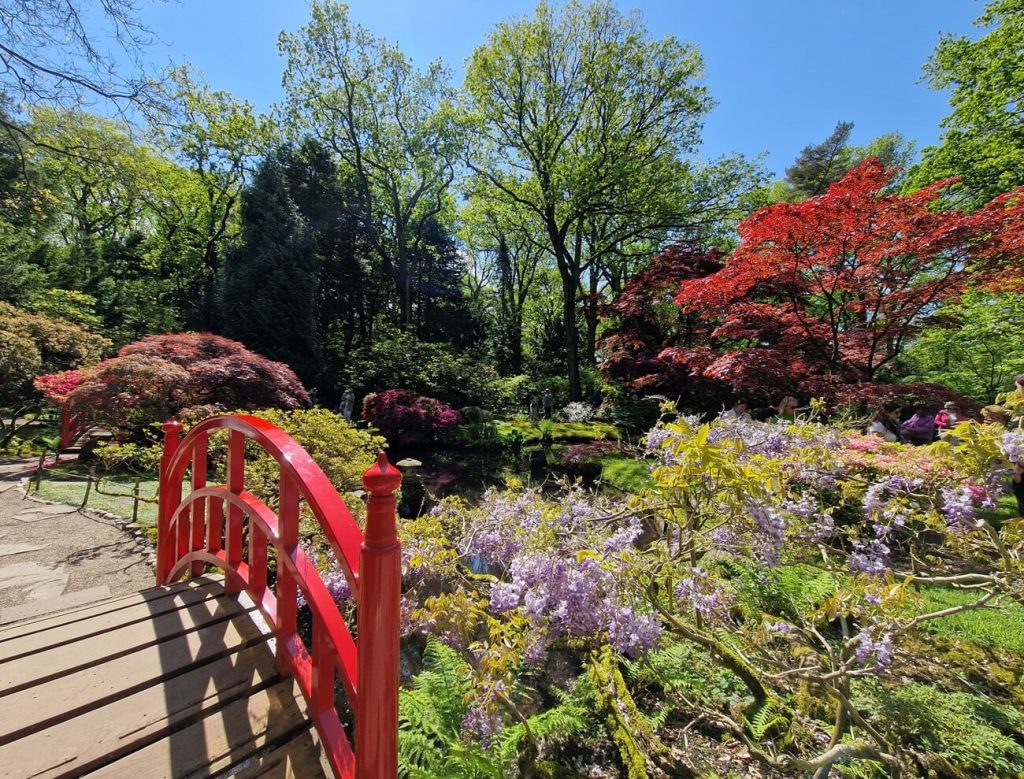 Bruggetje in de Japanse tuin Clingendael.