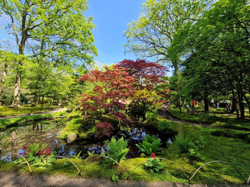 Japanse tuin Clingendael.